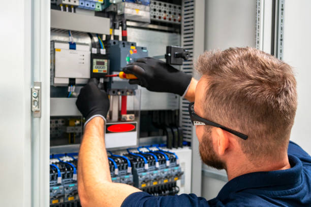 Best Electric Panel Repair  in Hudson, WI