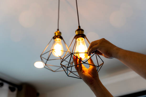 Best Electric Panel Repair  in Hudson, WI